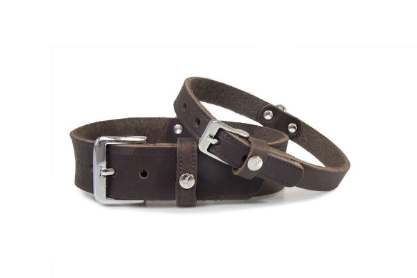 Leder-Hundehalsband Weinheim Mocca