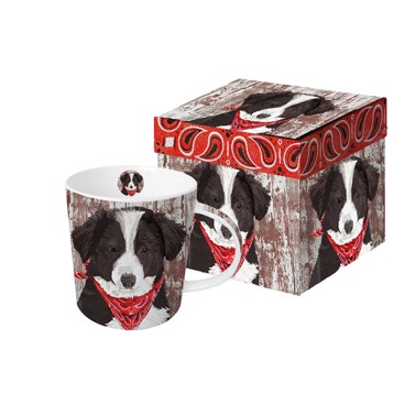 Tasse / Puppy Collie