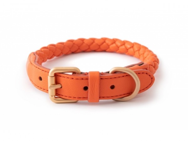 2.8 Leder-Hundehalsband Ferdinando Tangerine Orange