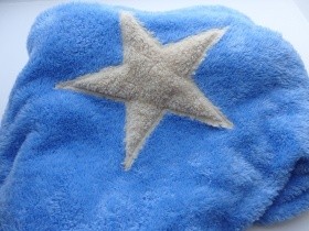 DOGS in the CITY Hundedecke Pooch Hellblau Stern Creme