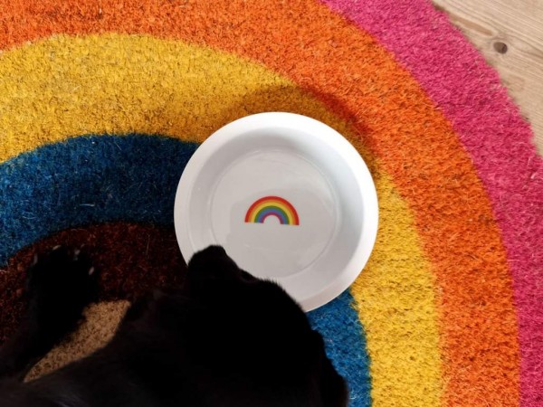 dogbar Porzellan-Ersatznapf mit Regenbogen
