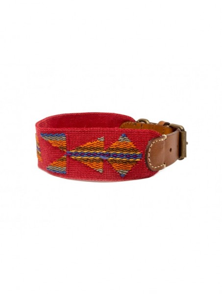 Buddys Hundehalsband Etna Red