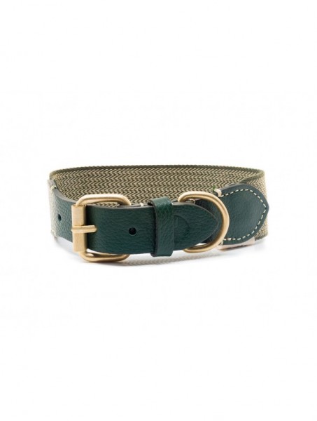 Buddys Hundehalsband James Green