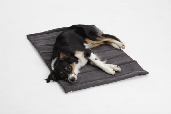DOGS in the CITY Travel Mat Madison Anthrazit