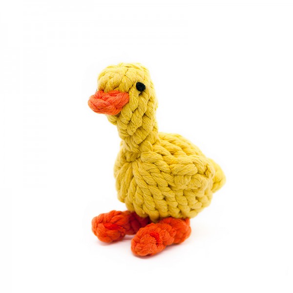 Zahnreinigungsspielzeug Baby Chick