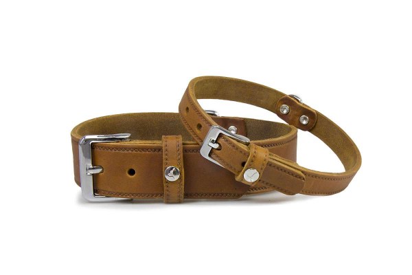 Leder-Hundehalsband Weinheim Maroon